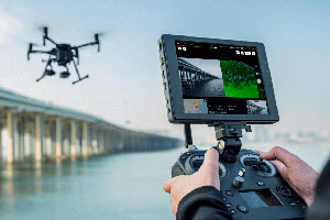 Профессиональный (теория+практика)